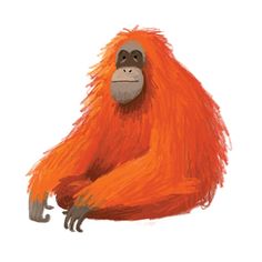 an orange monkey sitting on the ground with its legs crossed and head turned to the side