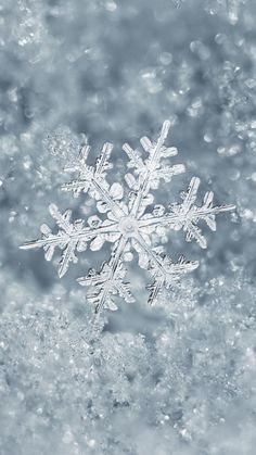 a snowflake is seen in this black and white photo with blue tints