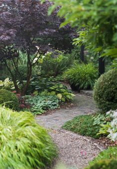 a garden with lots of plants and trees in it's center area, along with a stone path