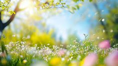 the sun shines brightly through the trees and flowers in the grass, as seen from below