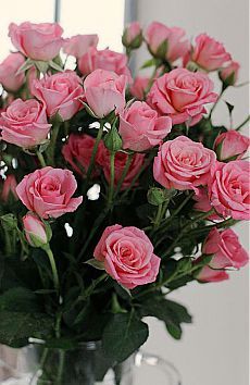 a vase filled with pink roses sitting on top of a table next to a mirror