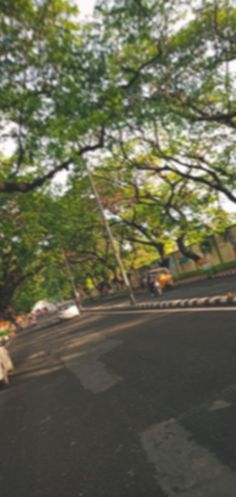 a person riding a skateboard down a street next to tall trees and grass on either side of the road