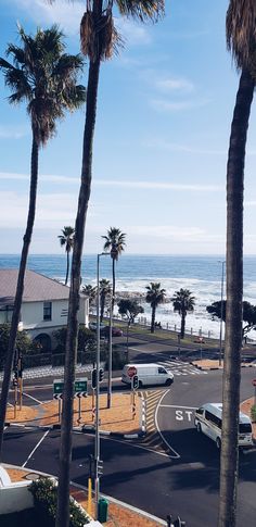 palm trees line the street in front of an ocean