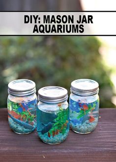 three mason jars filled with different types of aquariums and the words diy mason jar aquarium