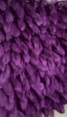 purple ostrich feathers laid out on top of each other