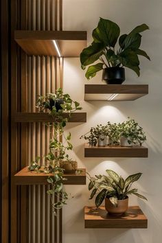 three wooden shelves with plants on them in the corner next to a wall mounted light