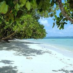 the beach is lined with green trees and white sand, as well as clear blue water