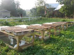 several wooden benches sitting in the grass