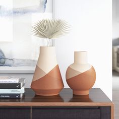 two vases sitting on top of a wooden table next to books and a plant