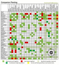 a chart with many different types of plants