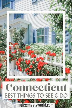 red flowers growing on the side of a white picket fence in front of a blue house