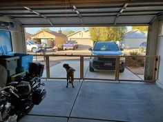 a dog standing in front of a garage door with a motorcycle parked next to it