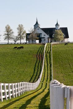 two horses grazing in the grass behind a white fence with a house on top of it