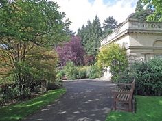 a wooden bench sitting on the side of a road next to lush green trees and bushes