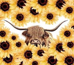 an image of a bull surrounded by sunflowers with long horns on it's head