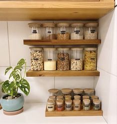 a kitchen shelf filled with jars and containers next to a potted plant on top of a counter