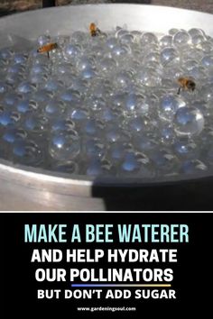 a metal bowl filled with lots of bubbles and bees on it's side that says make a bee waterer and help hydrate our pollinations but don't add sugar