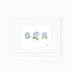 three blue hydrangea flowers with green leaves on white paper in a white frame