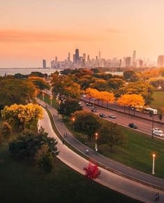 an aerial view of the city skyline with trees and street lights in front of it