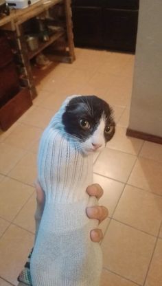 a black and white cat is wrapped in a sock while being held by someone's hand