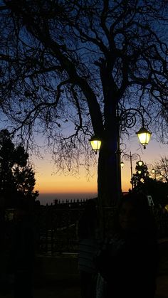 two people are standing under a tree at night with the sun setting in the background