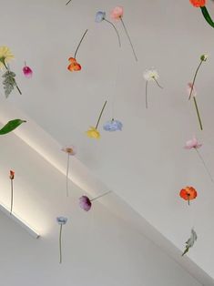 the flowers are hanging from the ceiling in the room