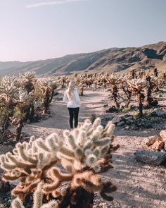 a woman standing in the middle of a desert with cacti and mountains behind her