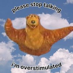 a bear flying through the air with clouds in the background and caption that reads, please stop talking i'm overstimptitated