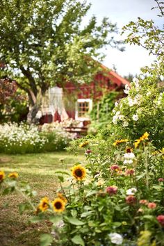 sunflowers and other flowers in front of a house