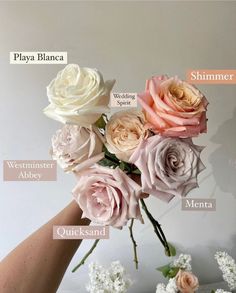 a hand holding a bouquet of flowers with labels on it that describe the parts of each flower