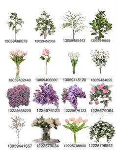 various types of flowers are shown in this image