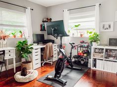 a home gym with exercise equipment and potted plants