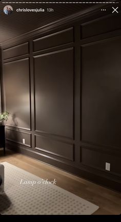 a living room with dark wood paneling and white rug