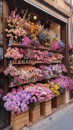 a flower shop with many different types of flowers on the shelves and in front of it