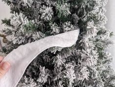 someone is holding a white ribbon in front of a christmas tree with snow on it