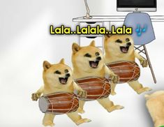 three dogs playing drums in front of a computer screen