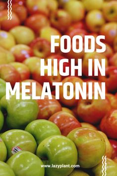 Boost your melatonin intake naturally by including melatonin-rich foods in your meals, such as cranberries, pistachios, almonds, apples, cherries, strawberries, and Merlot wine. Best Snacks Before Bed, Melatonin Foods, Melatonin Benefits, Drinks With Cranberry Juice, Food For Sleep, Mushroom Varieties, List Of Foods, Oatmeal Bread, Merlot Wine