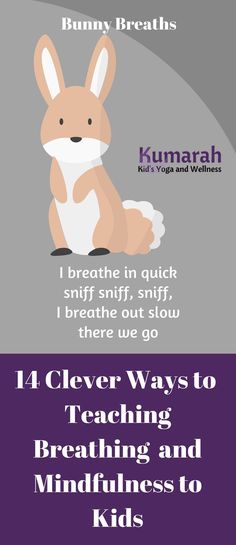 a poster with the words bunny breaths and an image of a rabbit sitting on top of