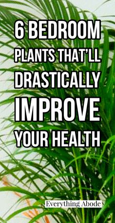 a potted plant with the words 6 bedroom plants that'll dramatically improve your health