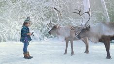 a woman standing next to two reindeer in the snow