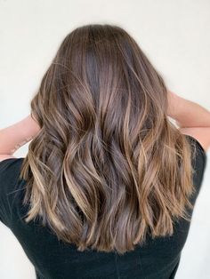 Medium Brunette Hair Balayage, Medium Brown Lived In Hair, Naturally Highlighted Brown Hair, Light Brown Hair Root Smudge, Sun Kissed Honey Brown Hair, Dark Balayage Caramel, Expensive Brunette Medium Hair, Lived In Brunette Straight Hair, Medium Hair Styles Casual