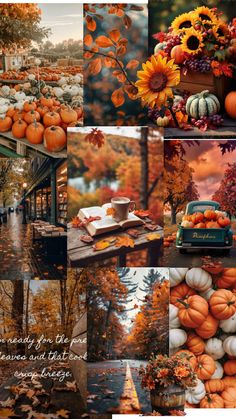 a collage of photos with pumpkins, flowers and other autumn items in them