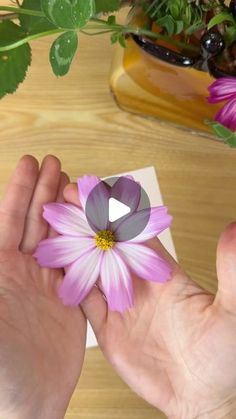 a person holding a flower in their hand on top of a wooden table next to a potted plant