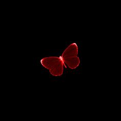 a red butterfly flying through the dark sky