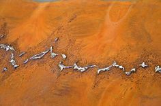 an aerial view of the desert with many animals on it's side and dirt in the foreground