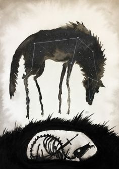 a drawing of a horse and its skeleton in the grass with stars on it's back