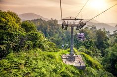 a gondola in the middle of a jungle with trees and mountains behind it