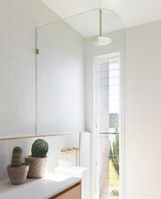 a bathroom with a sink, mirror and potted cactus