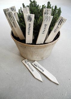 there is a potted plant with knives in it and four forks on the ground