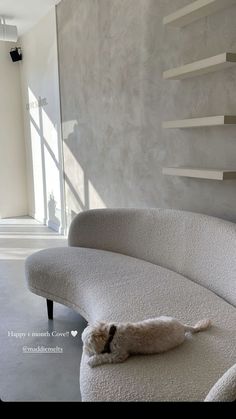 a dog laying on top of a couch in a living room next to a wall